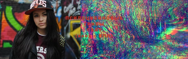 MDMA Premium VHQ Володарск
