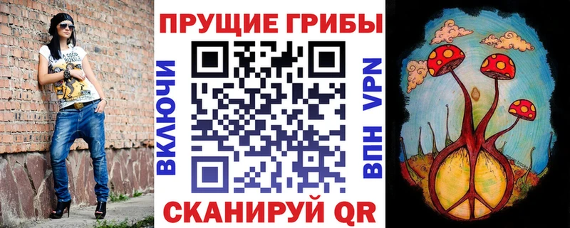 Галлюциногенные грибы Psilocybine cubensis Черкесск